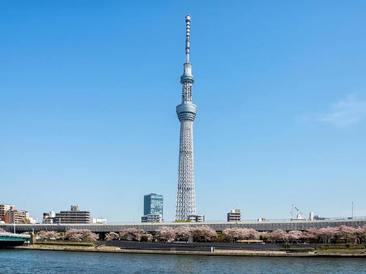 Anshin Oyado Akihabara Denkigaiten Hotel Tokyo Exterior photo